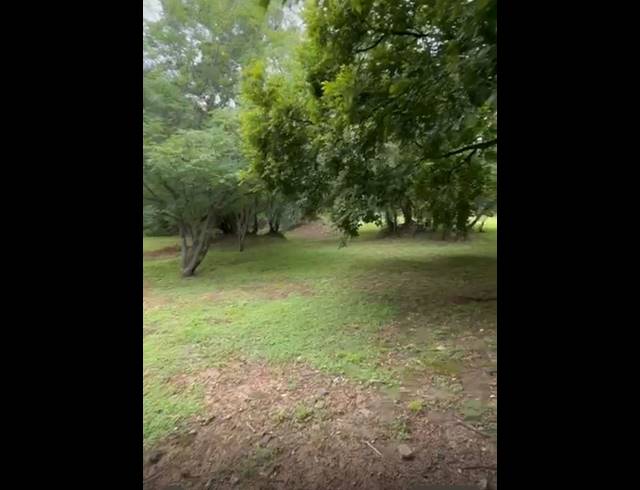 609M² VACANT LAND FOR SALE IN MORNINGSIDE